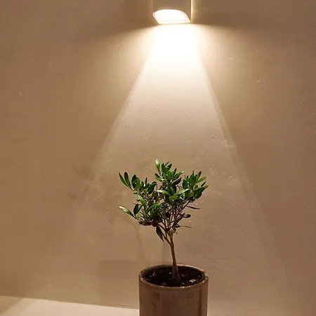 Blanco Mykonos Mykonos Town